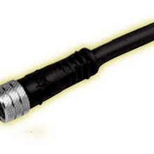 Steckdose M8 4-polig mit Kabel = 5 m